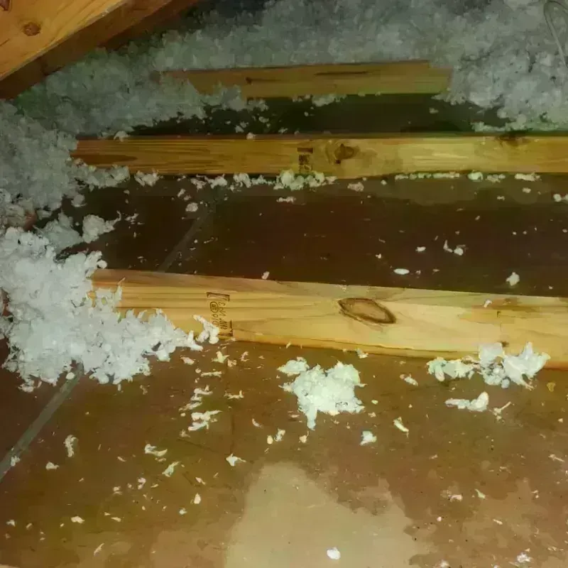 Attic Water Damage in Silver Lake, KS