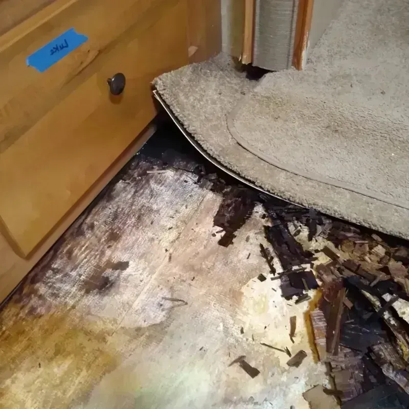 Wood Floor Water Damage in Silver Lake, KS